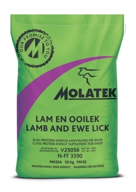 MOLATEK LAM & OOILEK